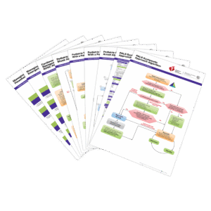 PALS Posters (Set of 9)