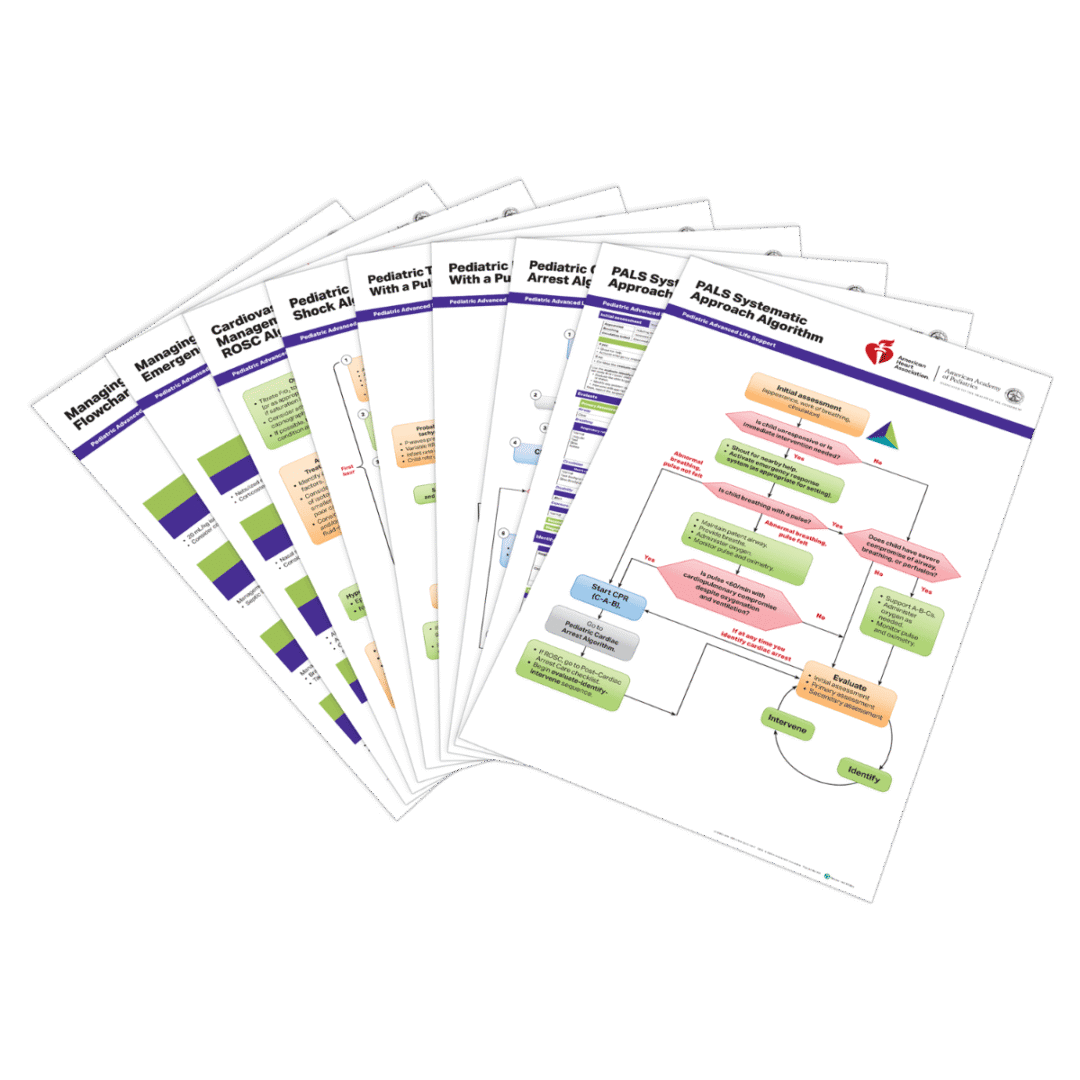 PALS Posters (Set of 9)